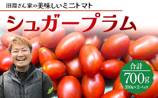 [期間限定]田淵さんちの美味しい ミニトマト シュガープラム(約700g)GP-1|鹿児島県 南大隅 産地直送 旬 とまと トマト ミニトマト リコピン 完熟 甘い 高糖度 野菜 やさい 送料無料
