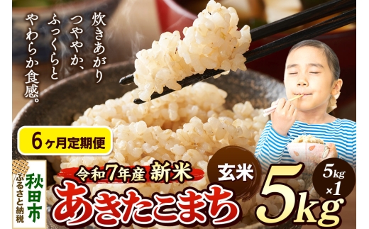 《令和7年産 新米先行受付》《定期便6ヶ月》 米 あきたこまち 5kg 【玄米】 秋田県産 2271234 - 秋田県秋田市