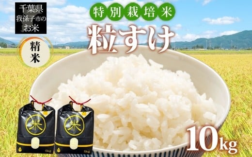 農家直送 千葉県産 特別栽培米 粒すけ 10kg 5kg×2 精米 米 白米 ごはん お米 ライス ブランド米 ご飯 和食 お弁当 おにぎり 甘い 国産 コメ おかず お取り寄せ 送料無料 千葉県 我孫子市