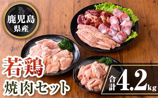 isa726 鹿児島県産 若鶏焼肉セット (合計4.2kg) 鹿児島県産 小分け 真空パック 鶏肉 鳥肉 もも肉 モモ肉 砂肝 肝 手羽中 肩肉 小肉 焼き肉 焼肉 セット 詰め合わせ 冷凍 【TRINITY】 2316479 - 鹿児島県伊佐市