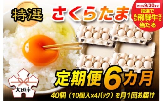 【秋の大感謝祭開催中！飛騨牛が抽選で当たる】特選　さくらたまご【定期便　6カ月】☆40個（10個入×4パック）を月1回お届け☆☆