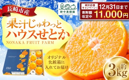 【期間限定！～12月31日まで寄附額改定中】ハウスせとか 3kg 8～15玉 化粧箱セット 【2026年2月下旬-3月下旬迄発送予定】 ／ フルーツ 果物 くだもの ミカン みかん 野中果樹園 オンライン決済限定 アフター保証 長崎県 長崎市