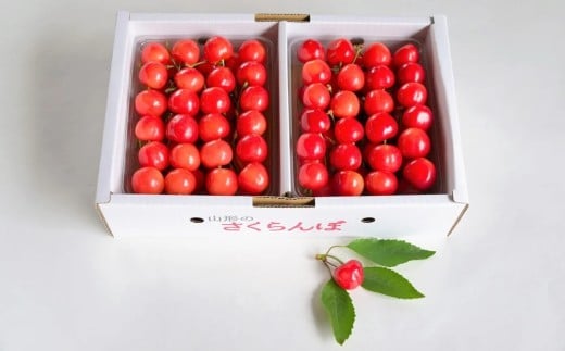 さくらんぼ(佐藤錦か紅秀峰)1kg 秀品 0052-2602 2277302 - 山形県上山市