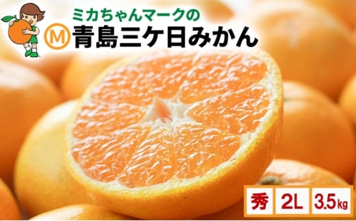 ミカちゃんマークのマルエム青島三ヶ日みかん 秀 2L 3.5kg(約20個) みかん ミカン フルーツ 果物 浜松市