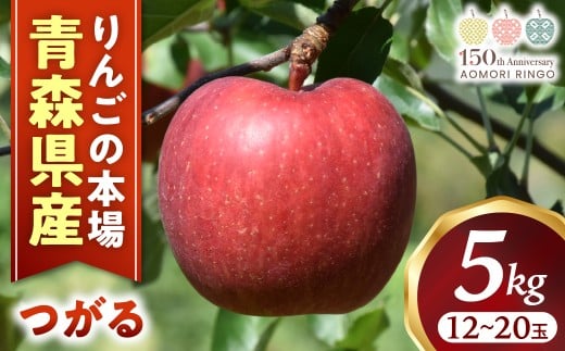 りんご【つがる】約5kg（12～20玉）【2025年産・先行予約】★2025年9月上旬～9月下旬頃まで発送予定★ りんご 林檎 リンゴ つがる 国産 フルーツ 果物 贈答 土産 青森県 三戸町 H2848