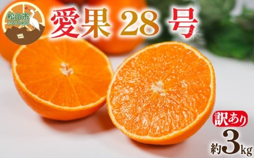 【訳あり】愛果28号 約3kg 【12月上旬~1月中旬頃発送予定】 | あいか 愛果28号 紅まどんな と同品種 訳あり ワケアリ みかん 柑橘 アイカ 先行予約 ミカン かんきつ 果物 フルーツ おすすめ 訳アリ 蜜柑 送料無料 愛媛県 松山市