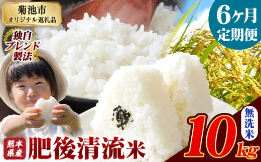 【6ヶ月定期便】熊本県産 無洗米 肥後清流米 10kg 熊本県産 ふるさと納税 精米 米 こめ ふるさとのうぜい コメ お米 おこめ《お申込み月の翌月から発送予定》