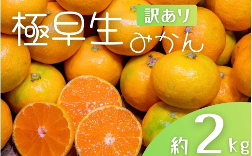 [訳あり]手選別 極早生みかん 約2kg 和歌山県産 2S~2Lサイズ混合 ※2025年10月上旬〜下旬頃に順次発送[mrmt003]