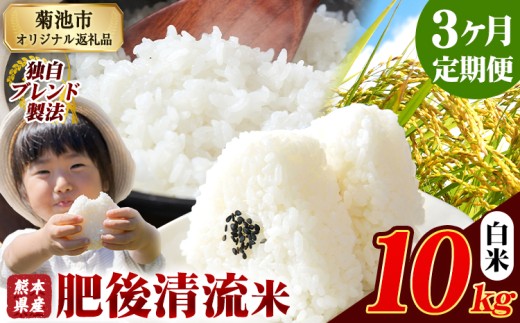 【3ヶ月定期便】熊本県産 白米 肥後清流米 10kg 熊本県産 ふるさと納税 精米 米 こめ ふるさとのうぜい コメ お米 おこめ《お申込み月の翌月から発送予定》