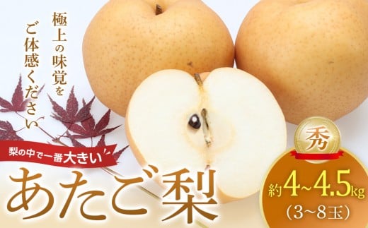 あたご梨 秀 約4kg以上～4.5kg未満（3～8玉前後）※2025年11月下旬～2026年2月中旬頃に順次発送予定【先行予約 梨 なし 果物 フルーツ くだもの 鳥取県 北栄町 おすすめ 人気 送料無料】