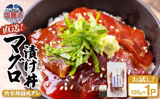 【直送マグロ使用】お試し まぐろパック 特製韓国風タレ付き  120ｇ×1パック 塩竈市 塩釜 TUNA まぐろ屋やまもと | tu00002-1s