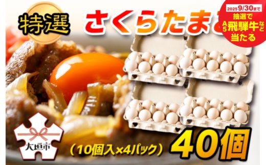 【秋の大感謝祭開催中！飛騨牛が抽選で当たる】特選 さくら たまご 40個（10個入 × 4パック） タマゴ 卵 玉子