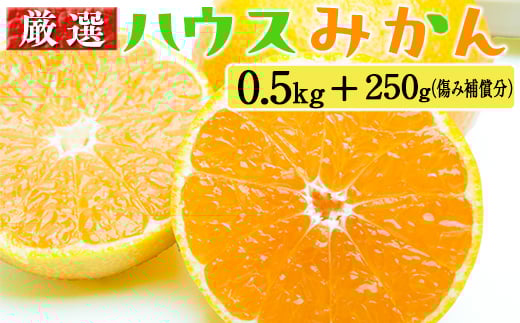 厳選 ハウスみかん0.5kg+250g(傷み補償分)
