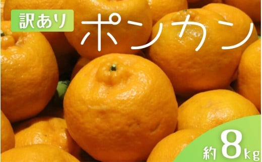 【訳あり】 森本農園の手選別 ポンカン 約8kg 和歌山県産 サイズ混合 【2026年1月上旬～2月上旬頃に順次発送】【mrmt045】 