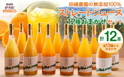 【数量限定】【愛媛県産】田縁農園の無添加100% ストレートジュース12種おまかせセット 720ml 全12種 【 ふるさと納税 人気 おすすめ ランキング ジュース みかんジュース オレンジジュース ミカン みかん 蜜柑 オレンジ フルーツジュース フルーツ 果物 セット 詰合せ 贈り物 贈答 ギフト 愛媛県 伊方町 送料無料 】 IKTA013