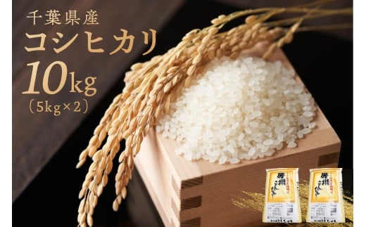 千葉県産コシヒカリ 10kg（5kg×2袋） mi0121-0001【食品 お米 精米 ごはん こしひかり おにぎり ブランド米 国産米 米】 2273905 - 千葉県南房総市