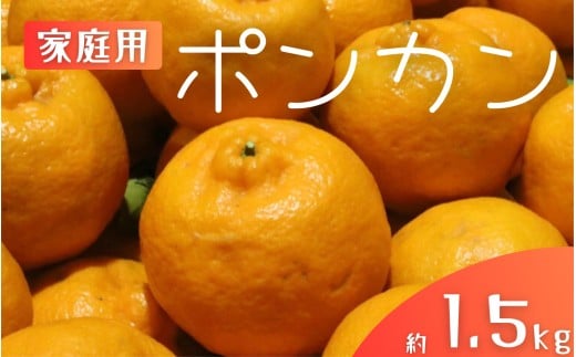 [家庭用] 森本農園の手選別 ポンカン 約1.5kg 和歌山県産 サイズ混合 [2026年1月上旬〜2月上旬頃に順次発送][mrmt011]