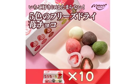 5色の苺チョコ 5粒×10箱 4月～10月発送 チョコレート チョコ スイーツ お菓子 おかし  苺  ミックス  ミルクチョコ  ホワイトチョコ  苺チョコ  抹茶チョコ  ギフト プレゼント 兵庫県 伊丹市 [№5275-0767]
