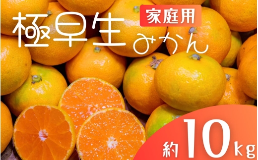極早生みかん 約10kg みかん 産直 サイズ混合 みかん 早生みかん 果物 くだもの フルーツ 温州みかん 和歌山 柑橘 オレンジ【2025年10月上旬～下旬頃に順次発送】【mrmt029】