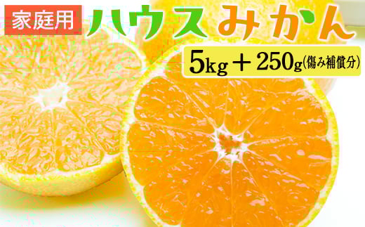 家庭用 ハウスみかん5kg+250g（傷み補償分）