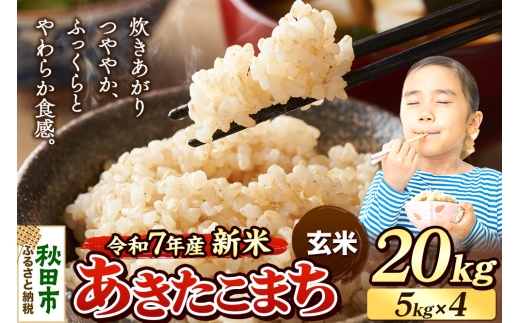 《令和7年産 新米先行受付》 米 あきたこまち 20kg（5kg×4袋） 【玄米】 秋田県産 2270851 - 秋田県秋田市