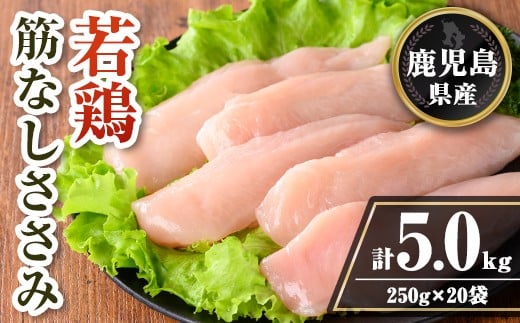 isa710 鹿児島県産 若鶏筋なしささみセット (計5kg・250g×20袋) 鹿児島県産 小分け 鶏肉 鳥肉 ささみ ササミ 筋なし 真空 真空パック サラダ 冷凍 【TRINITY】 2316488 - 鹿児島県伊佐市