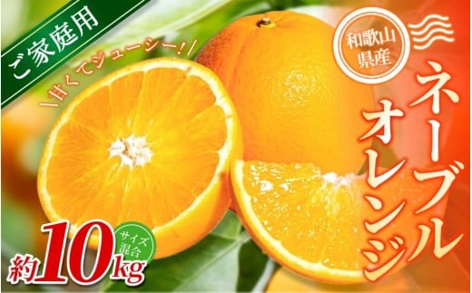 【ご家庭用】手選別 ネーブルオレンジ 約10kg 和歌山県産 2S~2Lサイズ混合※2026年1月上旬～2月中旬頃に順次発送【mrmt035】 2271083 - 和歌山県紀美野町