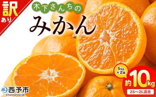 ＜木下さんちのみかん 訳あり 約10kg（2S～2Lサイズ混合）＞ 選べる わけあり 家庭用 柑橘 温州みかん うんしゅうみかん ミカン 蜜柑 果物 くだもの フルーツ 国産 特産品 木下農園 愛媛県 西予市【常温】『2025年11月中旬～12月下旬迄に順次出荷予定』
