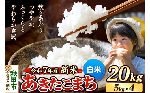 《令和7年産 新米先行受付》 米 あきたこまち 20kg（5kg×4袋） 【白米】 秋田県産 2270852 - 秋田県秋田市