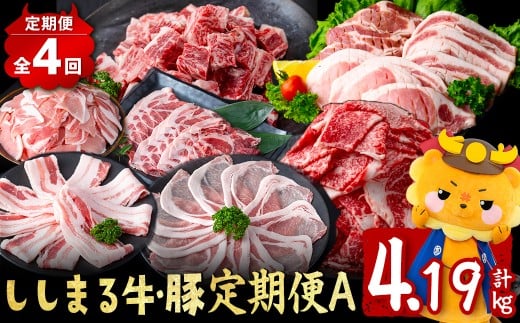 【定期便全4回】ししまる牛・豚定期便A(4ヶ月連続・計4.19kg以上) 黒毛和牛 黒豚 国産牛 九州産 豚 豚肉 肉 牛肉 国産 小分け 真空包装 冷凍 t0044-006
