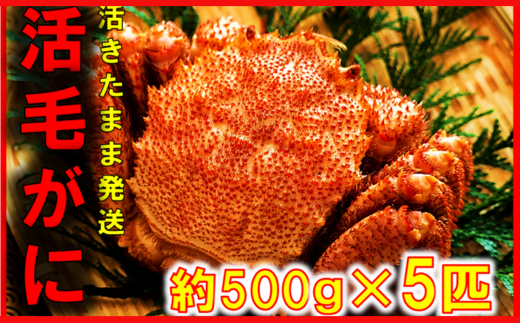 【令和8年発送】三陸産 三陸活毛ガニ 500g×5杯【2026年3月～4月発送】【05】