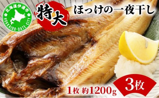 ほっけの一夜干し(特大)3枚 2267260 - 北海道伊達市