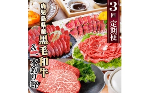 定期便(3回配送)枕崎お楽しみ便(黒毛和牛・一本釣りかつおたたき・さしみ) LL-6006_ 切り落し 鰹 刺身 カツオ ステーキ 肉 牛肉 【1462806】 1526851 - 鹿児島県枕崎市