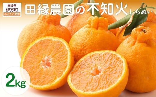 【先行予約】【数量限定】田縁農園の不知火(しらぬい)2kg ※離島への配送不可 (2026年2月10日より順次発送) 【 ふるさと納税 人気 おすすめ ランキング みかん ミカン 蜜柑 不知火 しらぬい フルーツ 果物 愛媛県産 田縁農園 愛媛県 伊方町 送料無料 】 IKTA017 2114362 - 愛媛県伊方町