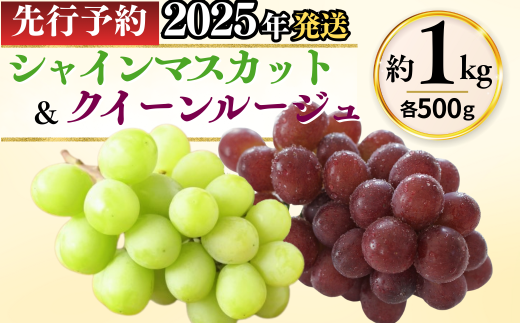  シャインマスカット ＆ クイーンルージュ® 詰め合わせ セット （各約500g/計約1kg）｜ 果物 フルーツ 白ぶどう 赤ぶどう 葡萄 ブドウ 種無し 種なし 皮ごと 千曲市 長野県 信州 2197486 - 長野県千曲市