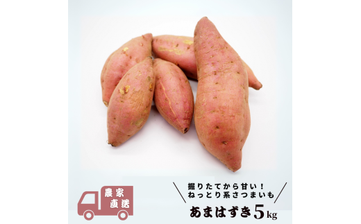 さつまいも あまはずき 5kg 掘りたてから甘い  生さつまいも 農家直送 さつまいも 薩摩芋 サツマイモ