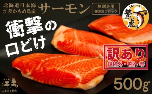 ＼配送時期指定可／【訳あり】北海道産 サーモン お刺身用ブロック 500g（約5～7パック前後）　日本海 かもめ島海面養殖　純国産 ブランドサーモン『江さしっ子 繁虎』　衝撃の口どけ　とろける脂　生食可　冷凍　小分け　個包装　トラウトサーモン　刺身　サーモンステーキ　カルパッチョ　海鮮　鮭　さけ　シャケ　しゃけ　さーもん