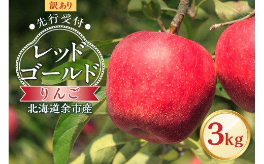 【先行予約：2025年10月中旬より発送】訳アリ りんご（レッドゴールド）3kg【北海道余市町産】