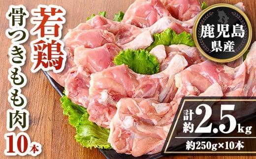 isa711 鹿児島県産 若鶏骨付きもも10本セット (計約2.5kg・約250g×10本) 鹿児島県産 鶏肉 鳥肉 もも肉 モモ肉  下処理 煮込み ロースト から揚げ 真空 真空パック アウトドア BBQ 冷凍 【TRINITY】 2316487 - 鹿児島県伊佐市