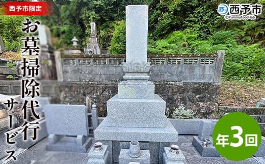 ＜お墓掃除 代行サービス（年3回）＞2基 墓所 墓石 お掃除 清掃 代理 代行 お手入れ お供え 供養 クリーン 花立 線香台 水鉢 雑草取り お墓参り お手入れ 徳山石材 愛媛県 西予市