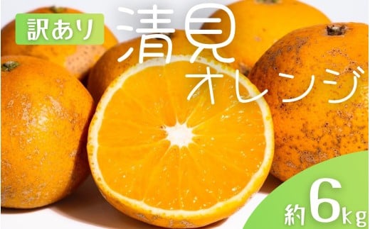 【先行予約】【訳あり】 森本農園の手選別 清見オレンジ 約6kg 和歌山県産 サイズ混合 ※2026年2月上旬～5月中旬頃順次発送 / 清見 きよみ オレンジ 柑橘 期間限定 由良町 果物 フルーツ 和歌山県【mrmt024A】 