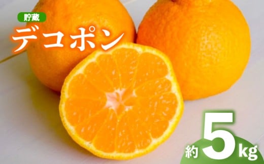 2026年 先行予約 デコポン 約5kg 不知火 しらぬい 貯蔵デコポン みかん 柑橘 蜜柑 オレンジ 果物 フルーツ 果実 旬 家庭用 4月下旬～5月下旬 配送 香川県 丸亀市