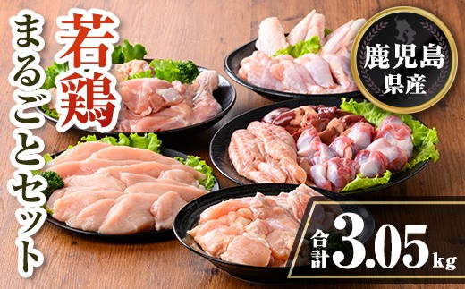 isa717 鹿児島県産 若鶏まるごとセット(合計3.05kg) 鹿児島県産 小分け 真空パック 鶏肉 鳥肉 もも肉 モモ肉 むね肉 ムネ肉 胸肉 ささみ ササミ 筋なし 砂肝 肝 手羽先 手羽中 手羽元 肩肉 小肉 骨付きモモ セット 詰め合わせ 冷凍 【TRINITY】 2316484 - 鹿児島県伊佐市