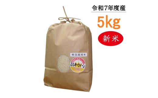 【令和7年度産】東浦町のミルキークイーン 5kg｜米  新米 おこめ 精米 直送 鈴木農産 愛知県
