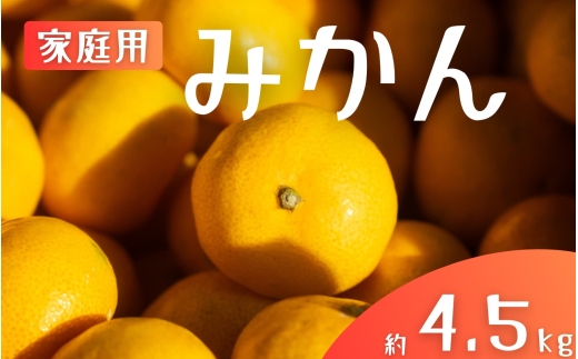 【ご家庭用】手選別 温州みかん 約4.5kg 和歌山県産 2S~2Lサイズ混合※2025年11月上旬～2026年2月中旬ごろに順次発送【mrmt007】 
