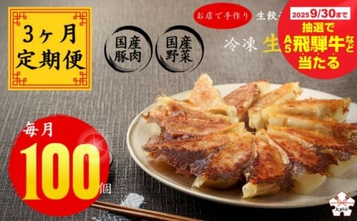 【秋の大感謝祭開催中！飛騨牛が抽選で当たる】【3ヶ月定期便】生餃子専門店「新家」の生餃子　元気がモリモリ100個セット×3回(期間限定)
