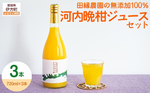 【愛媛県産】田縁農園の無添加100% 河内晩柑ジュース（720ml×3本） ストレート果汁100％ 【 ふるさと納税 人気 おすすめ ランキング ジュース みかんジュース オレンジジュース ミカン みかん 蜜柑 河内晩柑 オレンジ フルーツジュース フルーツ 果物 セット 詰合せ 贈り物 贈答 ギフト 愛媛県 伊方町 送料無料 】 IKTA014
