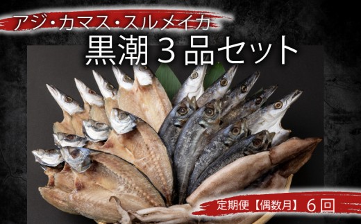 【定期便 偶数月6回】 干物 黒潮セット アジ 5枚 鯵 アジ あじ カマス 5枚 かます トロカマス スルメイカ 1枚 冷凍 人気 干物 詰め合わせ 大容量 海鮮 魚介 白身魚 室戸海洋深層水 高知県 室戸市 ご飯のお供 朝食 晩酌 酒の肴 おつまみ BBQ ギフト 贈答 グルメ 送料無料