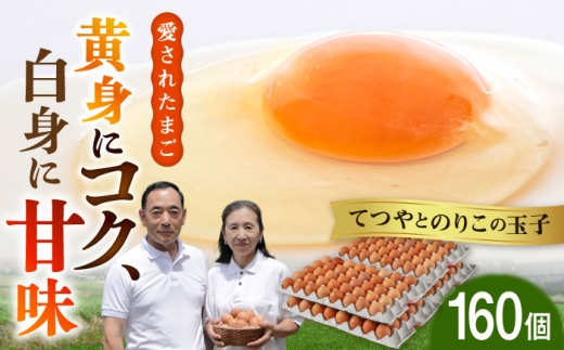 てつやとのりこの 玉子 【 160個 】《糸島》【板垣ファーム】[AWD005]