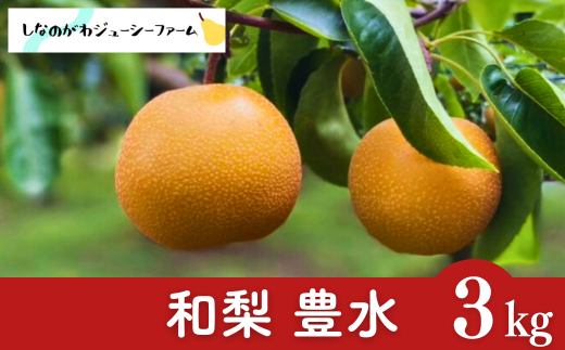 和梨 豊水 約3kg 新潟県 三条市産 梨 [しなのがわジューシーファーム]【010S479】